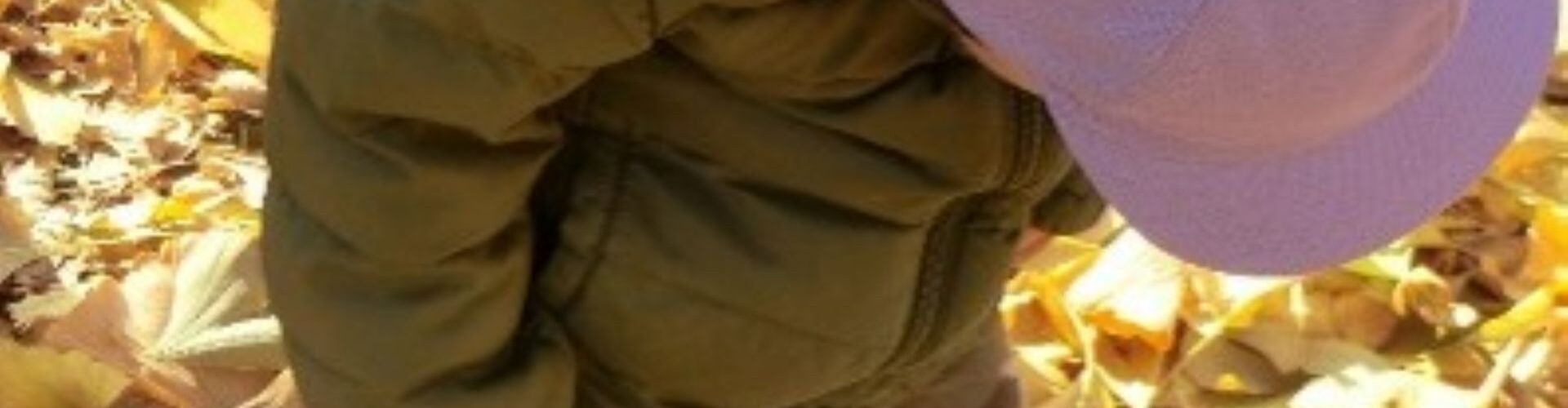 mainimage2